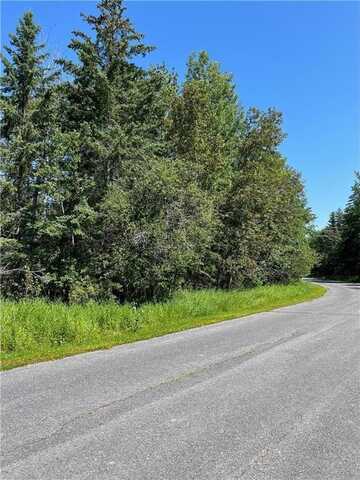 Tbd Town Road 224, International Falls, MN 56649