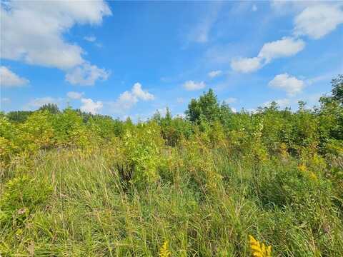 220th, Acoma Twp, MN 55350