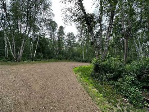 Tbd Blackbird Trail, Nevis, MN 56467