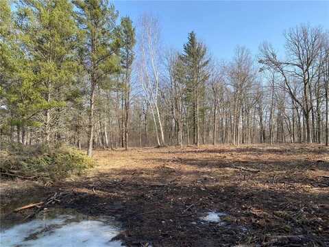 34007 Twin Oaks Loop, Motley, MN 56466