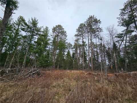 Tbd Forbes Lane, Longville, MN 56655