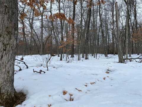 Lot 10 Bridle Pathway Road, Danbury, WI 54830