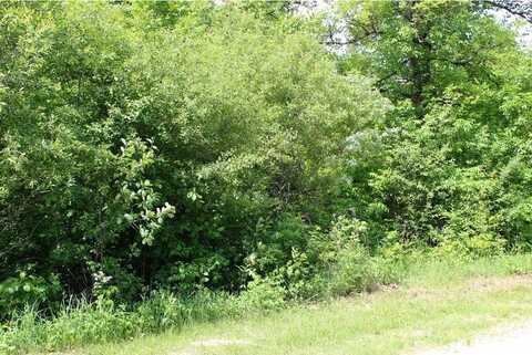 Lot 6 Kingston Way, Walker, MN 56484