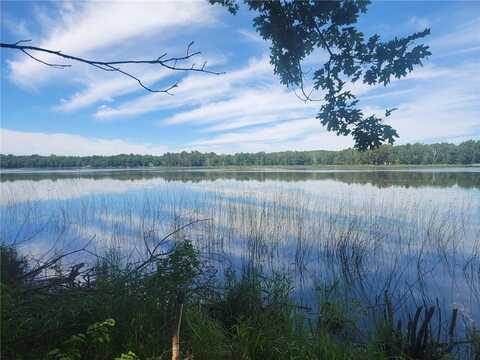 39310 Outback Trail, Browerville, MN 56438