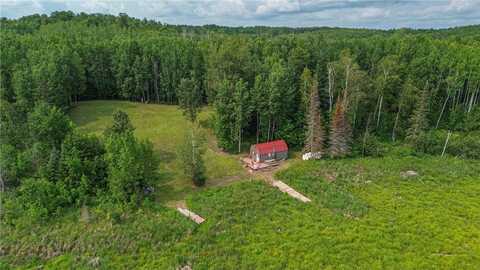 41251 Turtle Lake Road, Bigfork, MN 56628