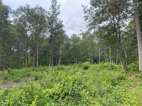 Lot 4 Patriot Ave, Pequot Lakes, MN 56472