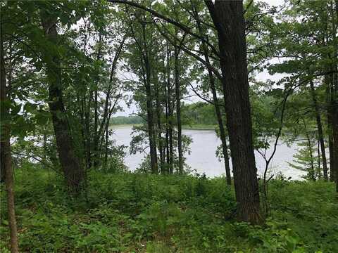 Tbd Turtle Lake Drive NW, Walker, MN 56484