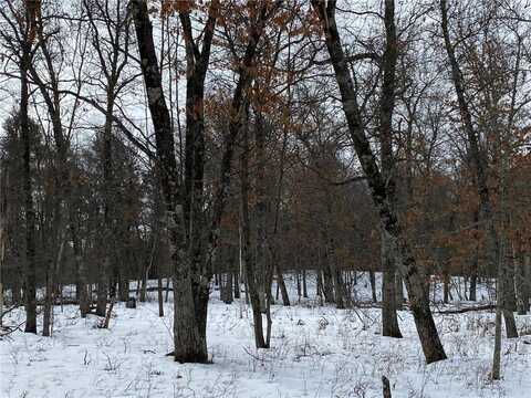 Lot 216 Deerpath Road, Danbury, WI 54830