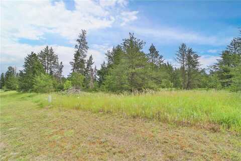 Lot 4 Block 2 Joshua Tree Drive, Baxter, MN 56425