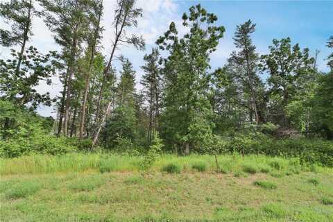 Lot 1 Block 2 Joshua Tree Drive, Baxter, MN 56425