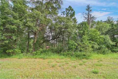 Lot 10 Block 2 Knotty Pine Drive, Baxter, MN 56425