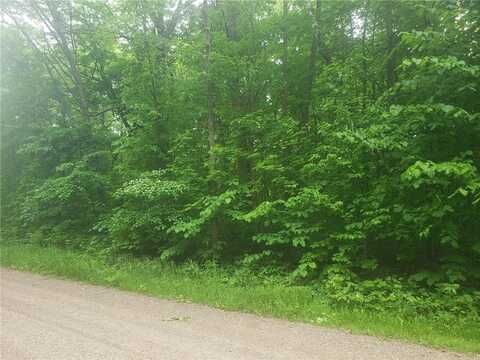 Xxx Summit Rd, Onamia, MN 56359