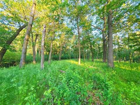 Xxx Lot 3 Chestnut Street, Marine on Saint Croix, MN 55047