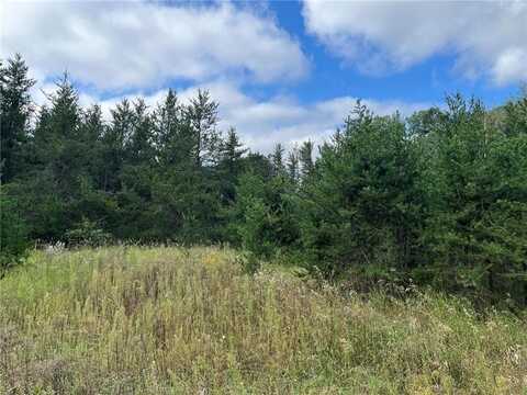 1707 Hassman Hill Tract D Road SW, Pine River, MN 56474