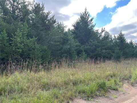 1707 Hassman Hill Tract C Road SW, Pine River, MN 56474