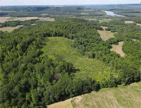 Tbd Tulip Lane, Pepin, WI 54759