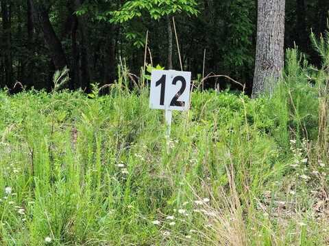 Lot 12 Belle Isle DR, Union Hall, VA 24176