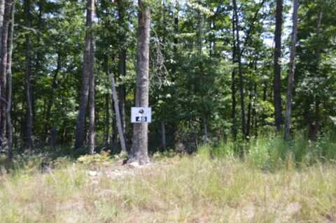 Lot 45 Black Diamond DR, New Castle, VA 24127