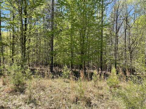 Lot 13 Tarragon WAY, Moneta, VA 24121