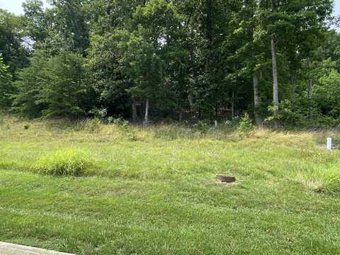 LOT 11 SUMMIT DR, Rocky Mount, VA 24151