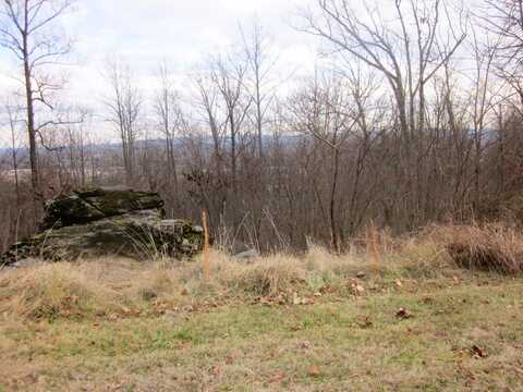 LOT 38 SUMMIT DR, Rocky Mount, VA 24151