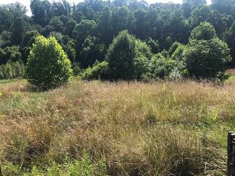 Lot 9 Hunters Knoll DR, Goodview, VA 24095