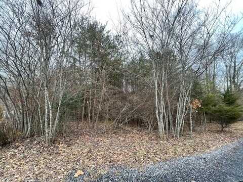 Lot 49 Overlook CIR, Moneta, VA 24121