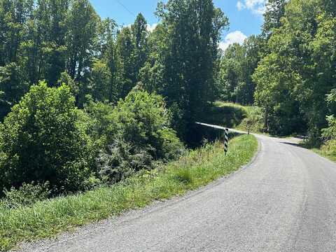 Tract 21B Wooldridge RD, Blue Ridge, VA 24064