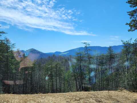 Lot 8 Reese Mountain RD, Elliston, VA 24087