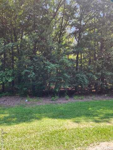 Lot 1 NC Hwy 186, Garysburg, NC 27831