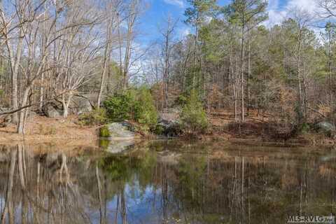 9.7 Acre NC Hwy 903, Littleton, NC 27850