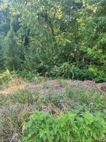 Lot 14 Stoney Brook Dr, Roanoke Rapids, NC 27870