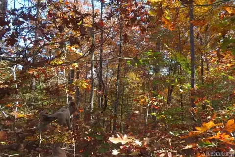 LOT 61 LAKE POINTE DRIVE, Roanoke Rapids, NC 27870