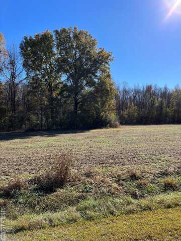 2 Over The Farm Road, Tillery, NC 27877