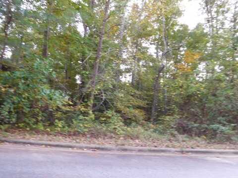 LOT 72 LAKE POINTE DRIVE, Roanoke Rapids, NC 27870