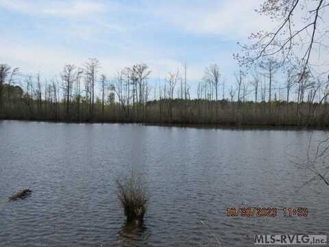 1B LEISURE SHORE RD, Como, NC 27818