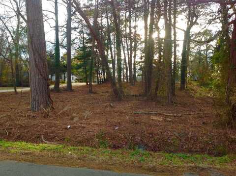 Lot 1 Chase Avenue, Roanoke Rapids, NC 27870