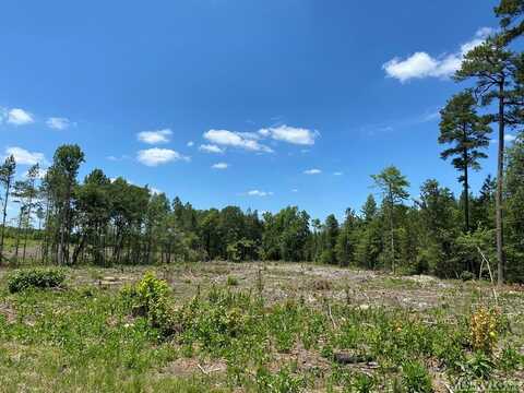 TBD Boydton Plank Rd, Warfield, VA 23889