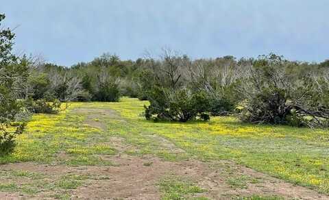 1448 County Rd 312, Eldorado, TX 76936