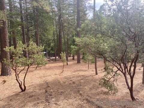 00 Big Pine Rd, Idyllwild, CA 92549