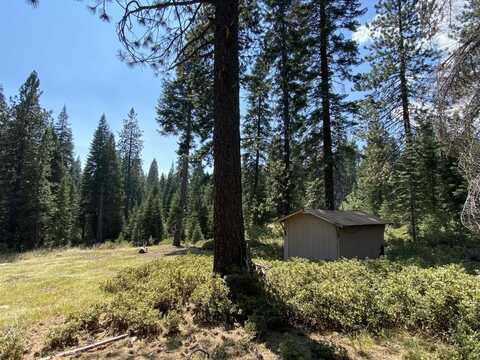 4-D-33 Esperanza Way, McCloud, CA 96057