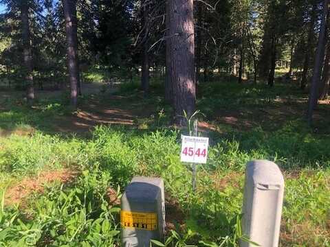 45 Panther Meadow, McCloud, CA 96057