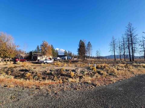 Lot 116 Buffalo, Weed, CA 96094