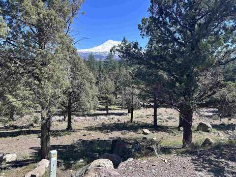 Lot 70,170,171 Dwinell, Weed, CA 96094