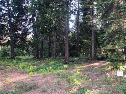 6 Old Mill Dr., McCloud, CA 96057