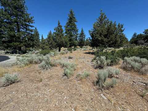 8-1 Lot 233 Lakeside Dr, Weed, CA 96094