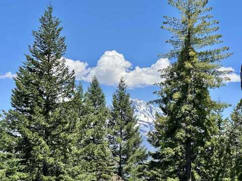 41 Acres Black Bear Loop, Weed, CA 96094