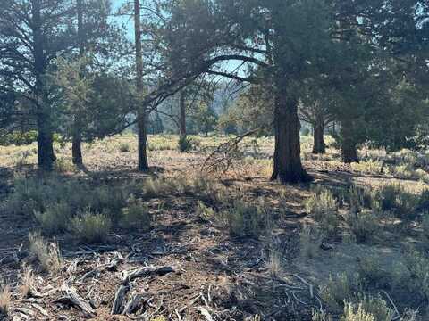 Unit 4 Lot 661 Gallop Place, Weed, CA 96094