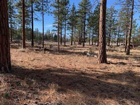 Unit 4 Lot 344 Lake Shastina Drive, Weed, CA 96094