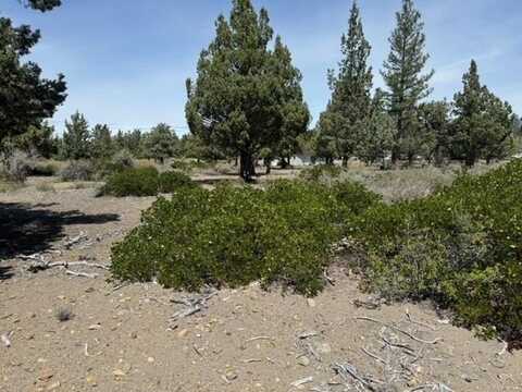 8-1 Lot 160 Woodside Rd, Weed, CA 96094